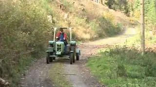 MAN 2F1 bei der erneuten Holzabfuhr im Wald