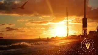 Netsky - Everybody Loves The Sunshine (feat. Chantal Kashala & Daddy Waku)