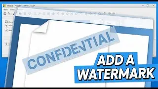 Insert Watermark in Word (2025) | Step-by-Step Guide