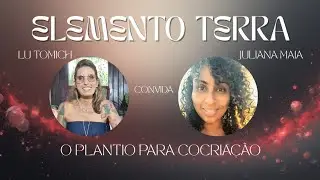 Elemento Terra:  plantio para cocria&ccedil;&atilde;o!