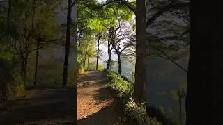 හිතුවෙවත් නැති දවසක තනිවුන පාරක ලස්සන 😳😘🫣🫠🌿🌳🍃 #travelapi