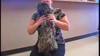 Happy Reunion at Garland Animal Services