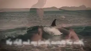 The whaling song