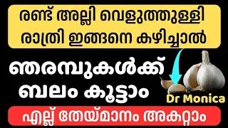 രാത്രി രണ്ട് അല്ലി വെളുത്തുള്ളി ഇങ്ങനെ കഴിച്ചാൽ ഞരമ്പുകൾക്ക് ബലം കൂട്ടാം എല്ലുകൾക്ക് ശക്തി കൂട്ടാം 
