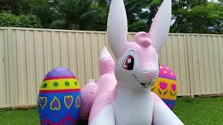 Puffypaws Bunny 360