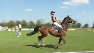 Reitturnier in Sukow