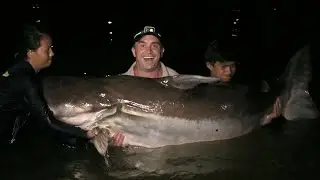 IL M'A FALLU 2H POUR SORTIR CE MONSTRE DU M&Eacute;KONG - Cyril Chauquet