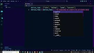 INDEX EN PYTHON