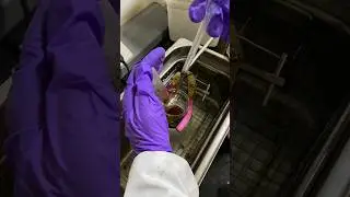 Chemical synthesis #chemistry #chemicallaboratory #experiment #research #labexperiment