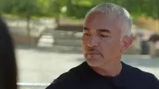 Cesar Millan: Jak&yacute; p&aacute;n, takov&yacute; pes