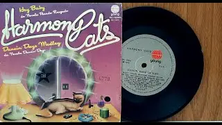 Harmony Cats - Dancin' Days Medley - ℗ 1978 - Baú🎶