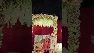 #royal #wedding #love #dance #music #varmala #desi @tseries @UltraBollywood @eminem