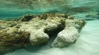 St. John Snorkeling, 2025