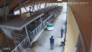 Futterschieber GEA FRone beim ersteinsatz in S&uuml;dtirol