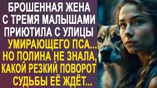 Брошенная жена приютила уличного пса  Но Полина не знала, какой поворот судьбы её вскоре ждёт