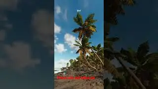 Far Cry 6 Graphic #fc6gameplay  #shorts