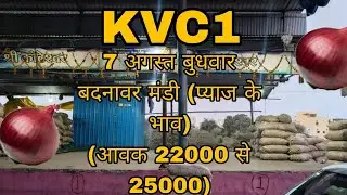 7 AUGUST 2024 BADNAWAR MANDI BHAV #PYAJKEBHAV # KOTESHWAR VEG COMP 1 No.