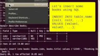 insert_data_in_mysql.mp4