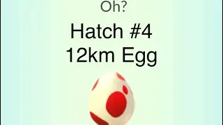 Which Pok&eacute;mon is in that Egg? 12km Egg Hatch Part 4 #pokemongo #pokemon #dodgemon #12kmegg