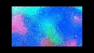 SGT WEBSITEVIDEO v.3