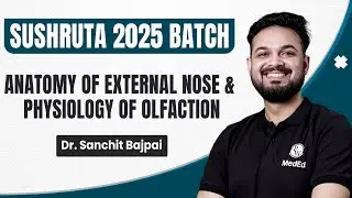 Anatomy Of External Nose & Olfaction | ENT | Sushruta 2025 | MBBS 3rd Year | Dr. Sanchit Sir