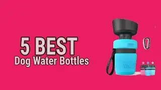 5 Best Dog Water Bottles 2021