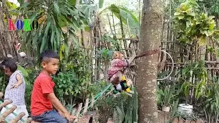 Monkey KOKO & Brother Tiny Yoko Playing On Hammock With Ratanak And Sreye