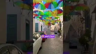 A really fun street in the Mina neighborhood of Tripoli, Lebanon ❤️🇱🇧🌞 good morning everyone