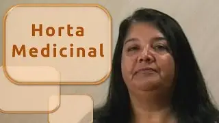 Horta Medicinal | Aula Aberta