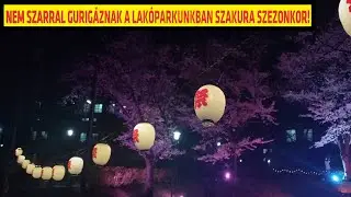 H&aacute;t, ez is v&eacute;get &eacute;rt - Szakura Szezon 2022 Z&aacute;r&oacute; Epiz&oacute;d