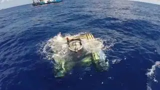 The Impact of Nekton's First Mission