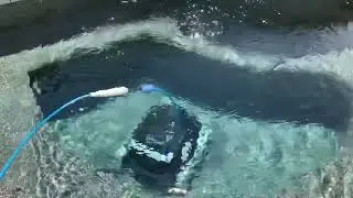 Dolphin Explorer E30 Review and Getting Stuck on Main Raised Drain part 1