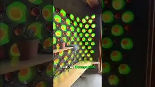 The Smartest &ldquo;Cheap&rdquo; House Ever Built.#diy #construction #building #bottle
