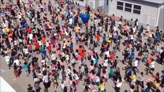 Dr  Roberta Bondar Flashmob 2016