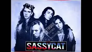 Sassycat  - 03 -  The Shake (Demo)