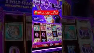 #minor #bonus #catswild #serengeti #slotmachine #casino #farsi #بونوس #ماینر #اسلات_ماشین #کازینو