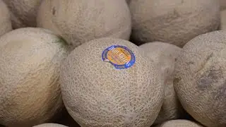 Dixon Melons farm stand up and running