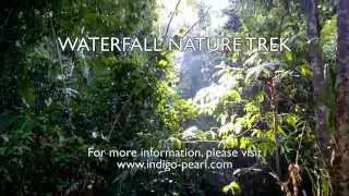 Waterfall Nature Trek - Indigo Pearl