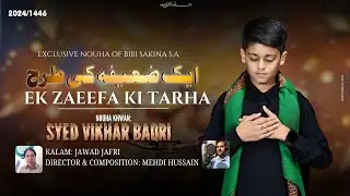 Ek Zaeefa Ki Tarha | Syed Vikhar Baqri Nohay 2024 | Muharram 2024/1446
