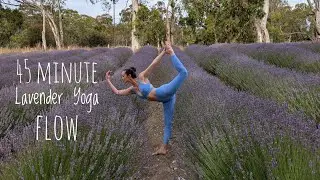 45 Minute Lavender Yoga Flow 🪻 #yoga #yogi #yogapractice #yogalife #yogateacher #yogainspiration