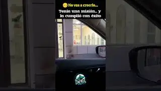Cuando tu mascota tiene un trabajo 😂 #birds #aves
