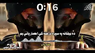 ده بیلتانه په سپره درخته کي احصار پاتي يم خوژ ترنم حافظ صلاح الدين ايوبي #pashtonazam #viralvideo