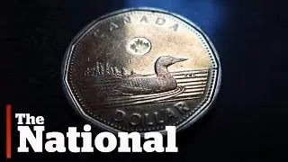 The loonie turns 30