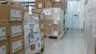 Temperature mapping, validation & qualification of vehicle, cold room, ware house | Vacker UAE