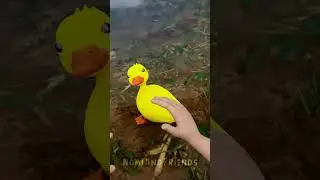 Pet Duck Adam Going for His First Swim🦆🌊 #funny