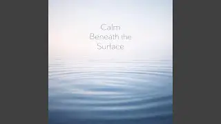 Calm Beneath the Surface