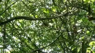 MOV01748