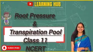 Root Pressure & Transpiration Pool@NCERT12293