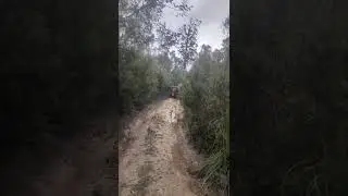 V8 Discovery bog hole #4wd #discovery #landrover #v8 #landroverdefender #offroad #automobile