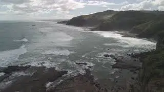 Te Henga Walkway